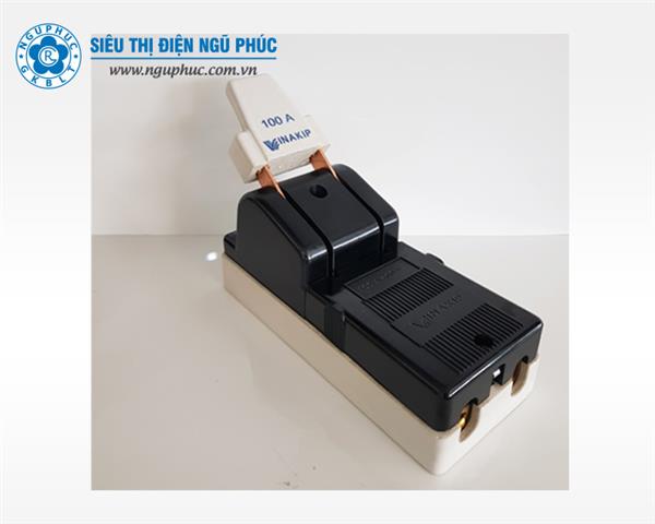 Cầu dao điện 2 pha 100A/600V - Vinakip