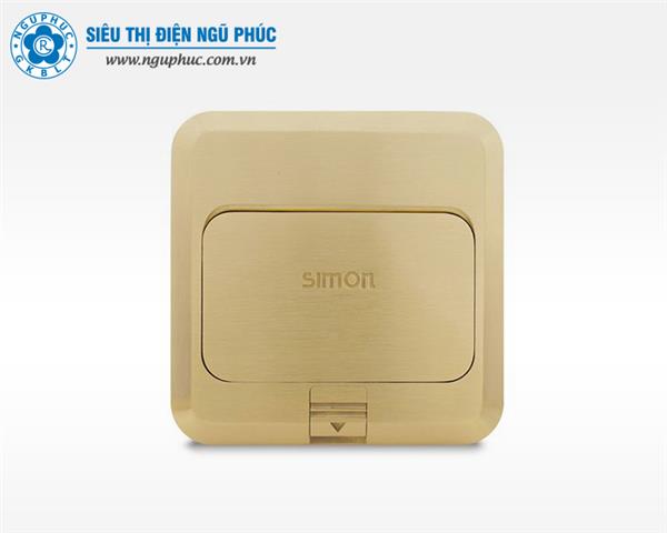 Ổ cắm âm sàn đôi 3 chấu đa năng Simon S50 - TD120F25 (Gold)